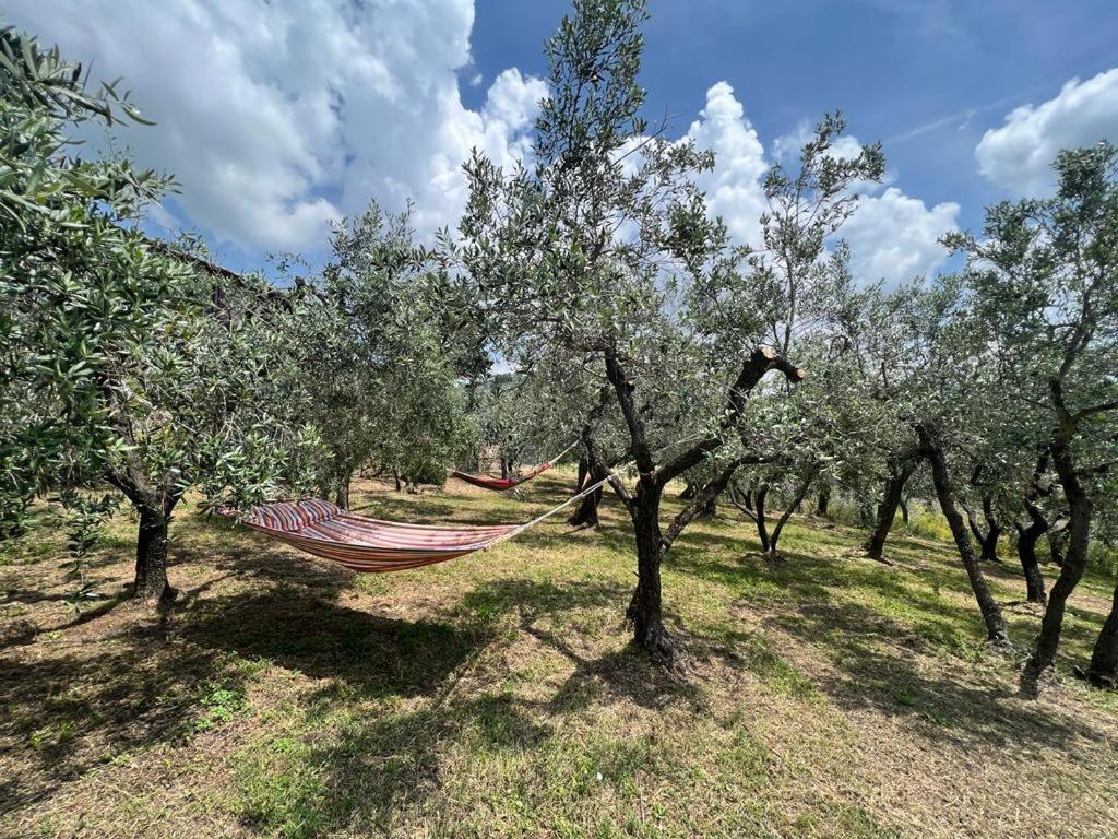 Bed and Breakfast Casa Della Noce Vinci Exteriér fotografie